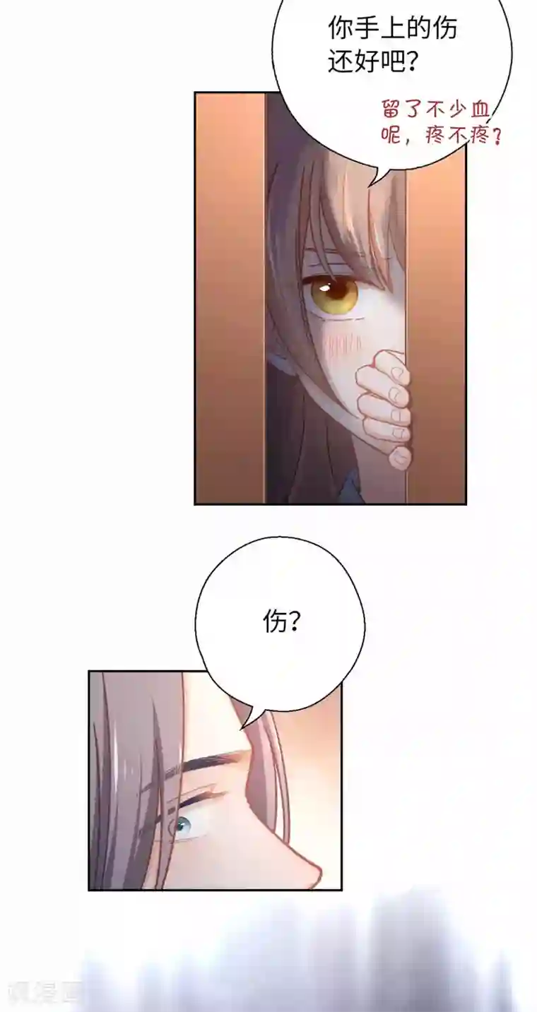 厨厨动人第55话 别的身份