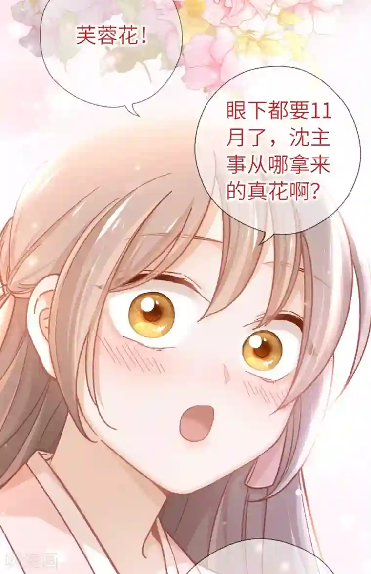 厨厨动人第56话 芙蓉酥