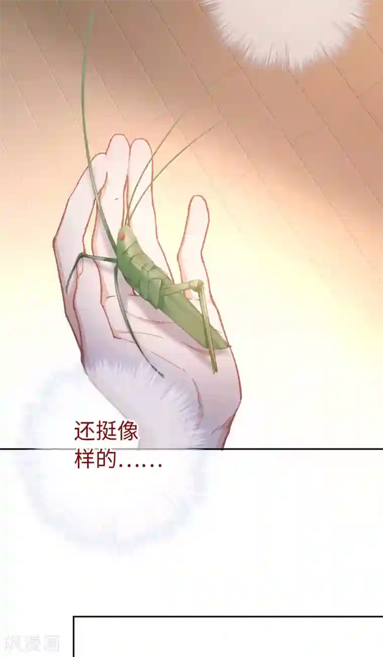 厨厨动人第56话 芙蓉酥