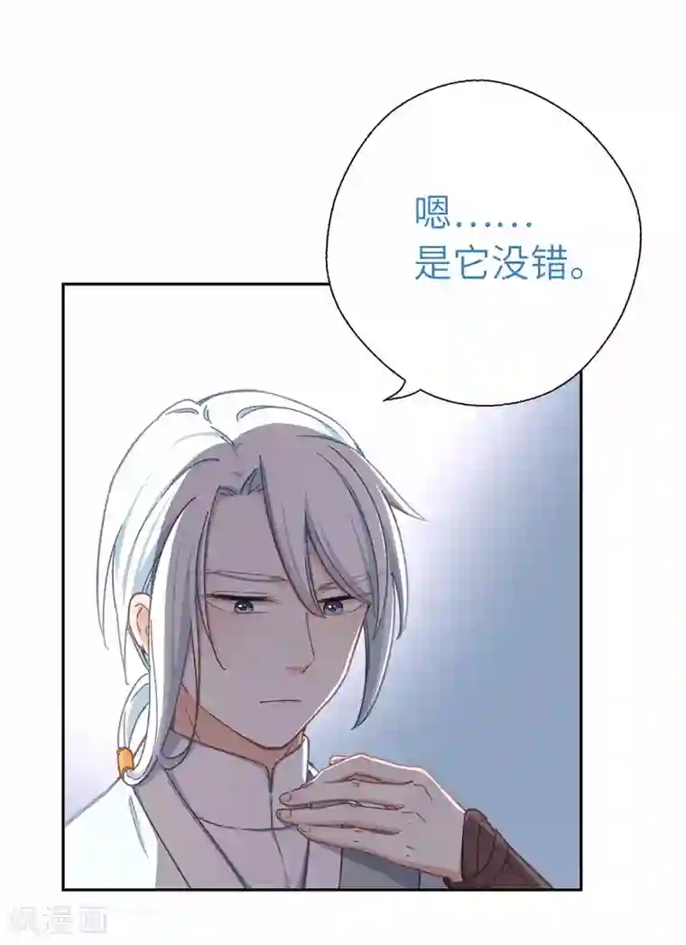 厨厨动人第62话 什么情况