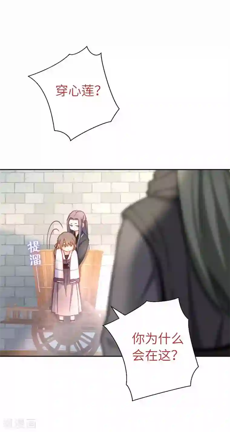 厨厨动人第64话 栖鹊楼