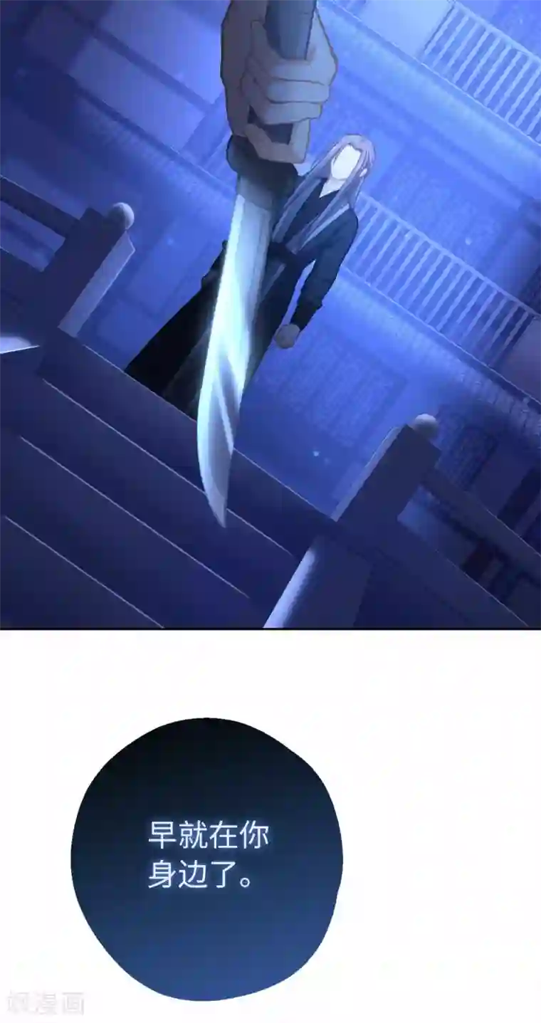 厨厨动人第77话 陷阱