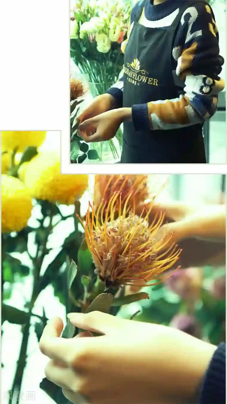 爵少的天价宝贝第20话