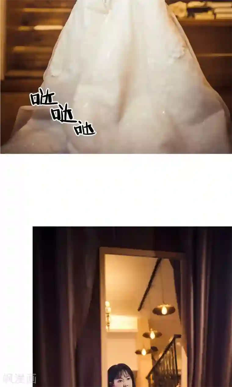 爵少的天价宝贝第100话