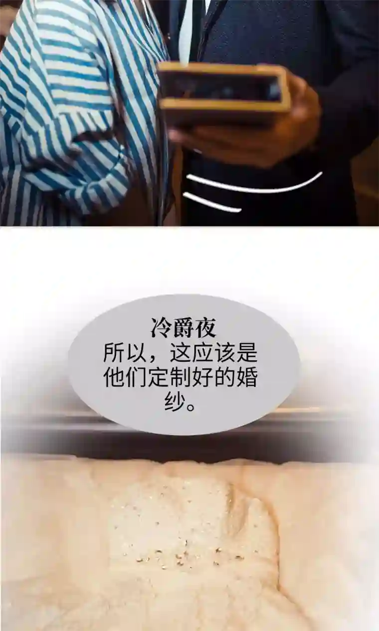 爵少的天价宝贝第100话