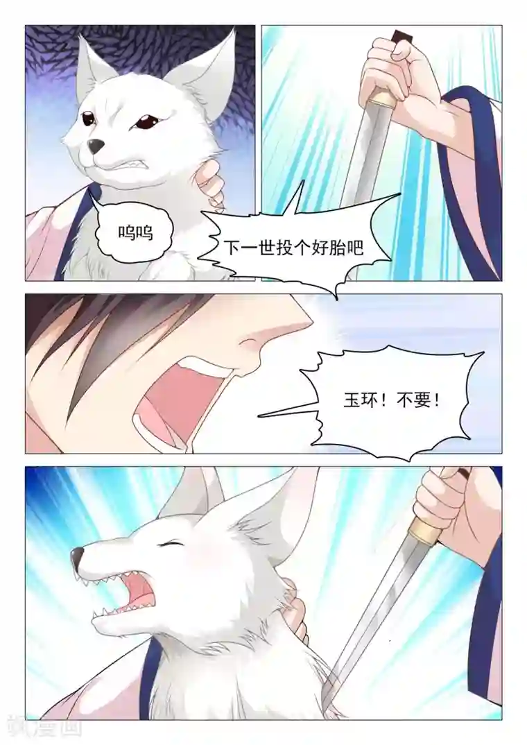 杨贵妃是特种兵第42话 破碎的心