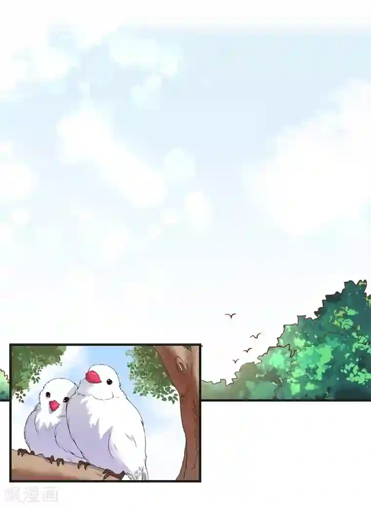 总裁的逆天狂妻第25话 初入苗疆