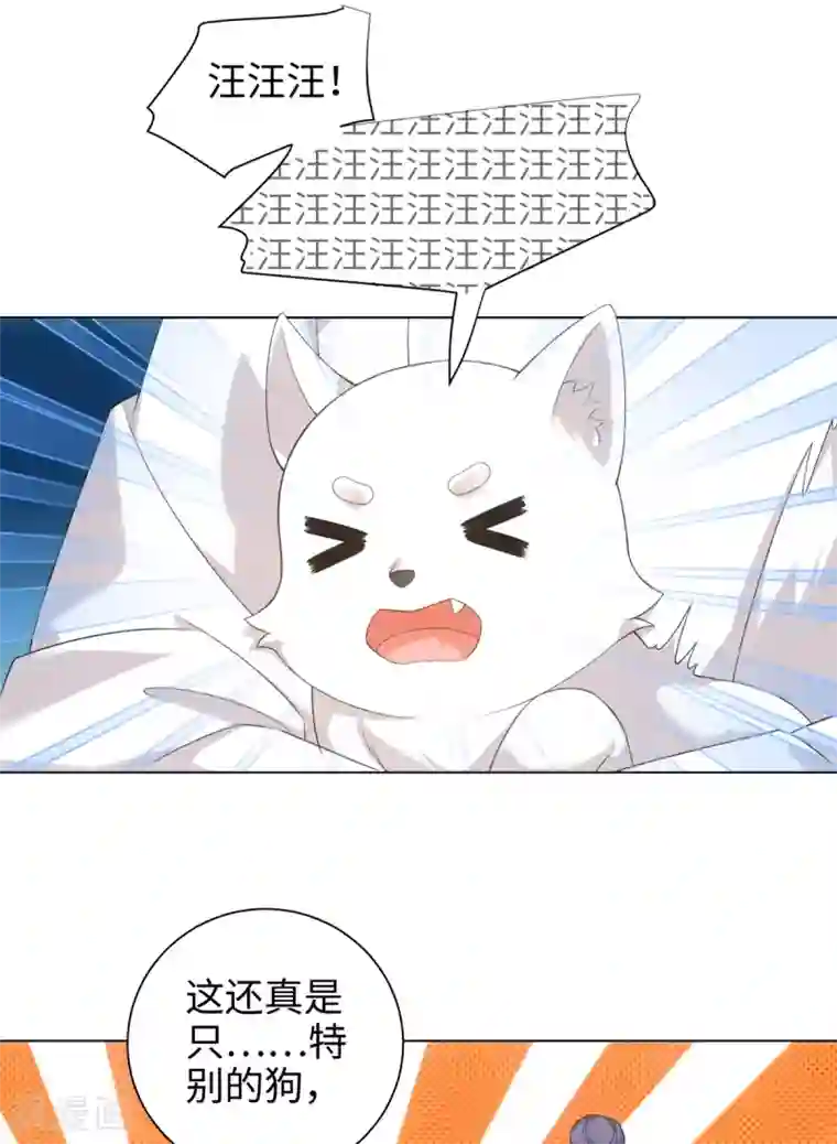 今天也没变成人第42话 变成狐狸还要装狗