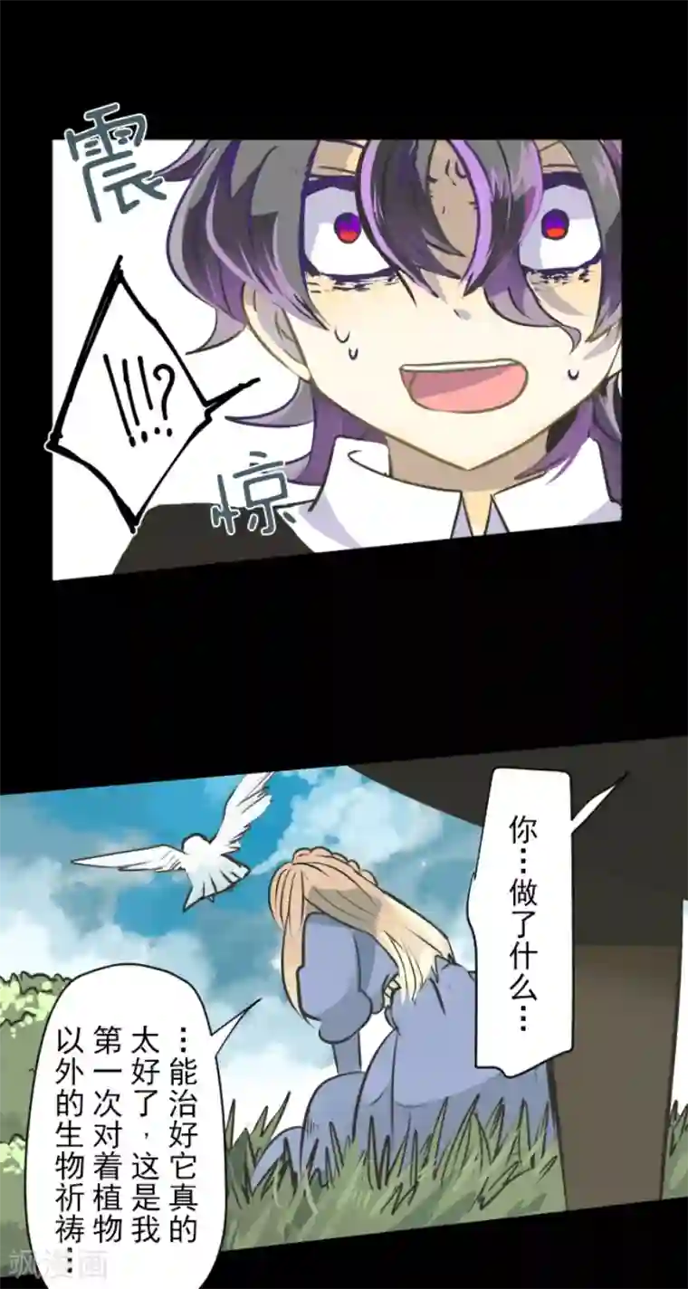 他和她的魔法契约第36话 过去篇5