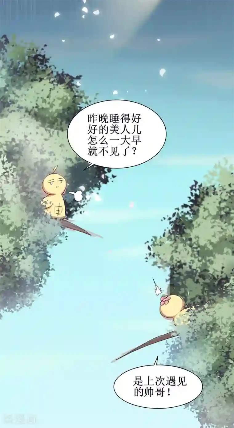 逆转仙途免费番外 看到不该看的