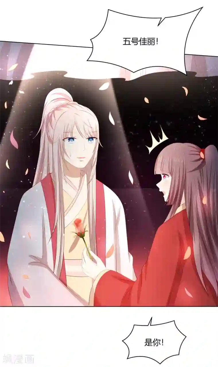 嫡女诸侯愚人节番外篇 选美大赛