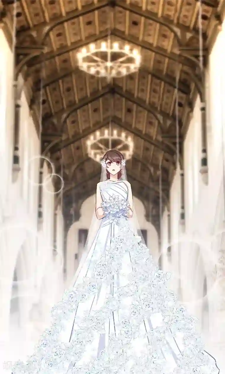 贺少的闪婚暖妻第51话 婚礼