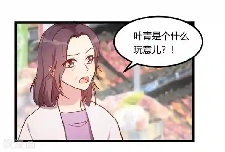 贺少的闪婚暖妻第82话 叶青是什么玩意