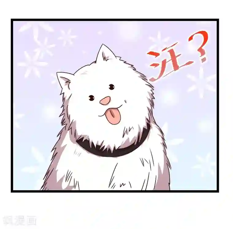 贺少的闪婚暖妻第120话 老爹你吃吗？