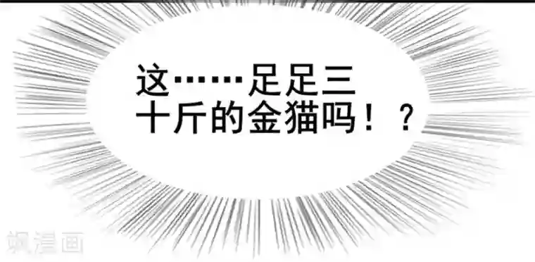 我和26岁美女房客第7话 纯金招财猫