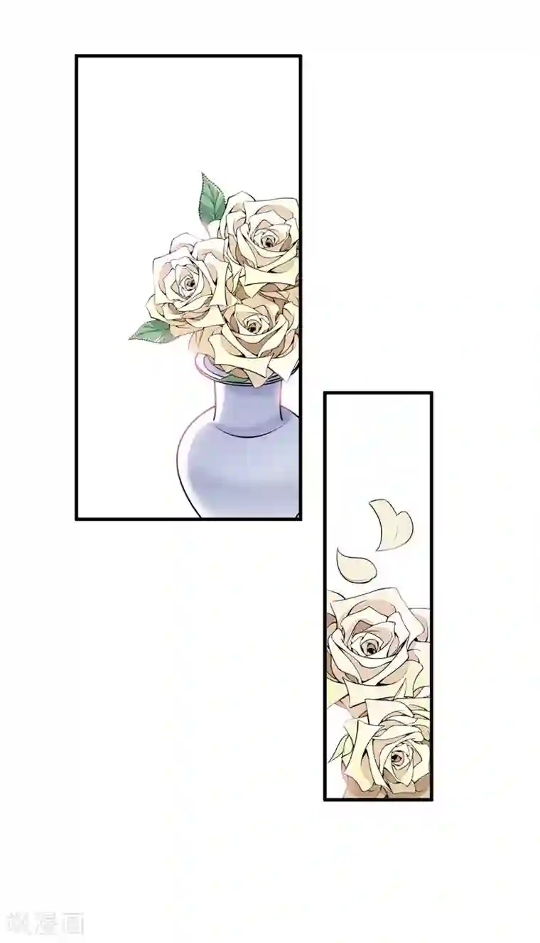 总裁的替嫁新娘第17话 姐姐回来了