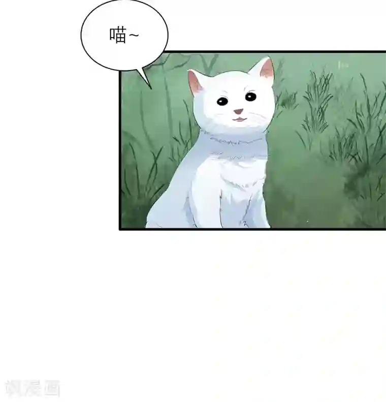 总裁的替嫁新娘第61话 心凉了还会暖吗