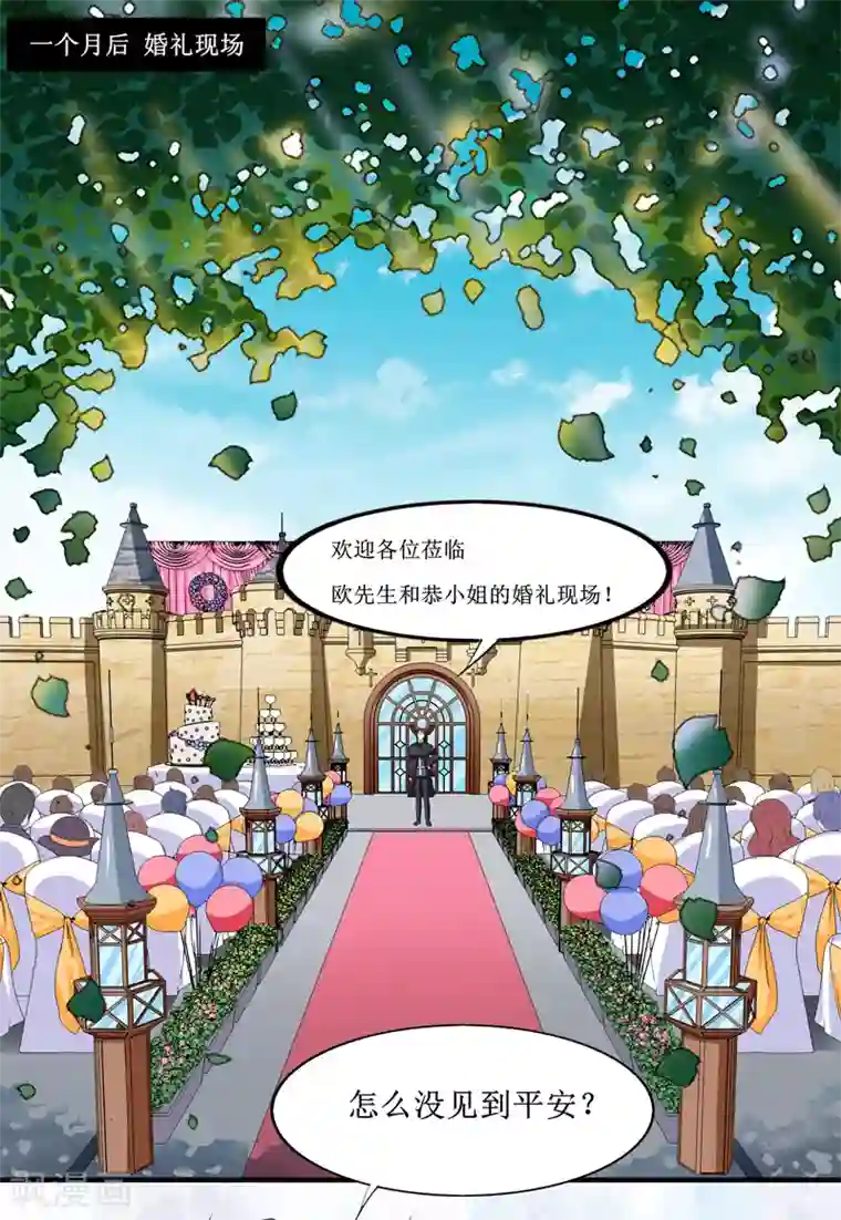 总裁的替嫁新娘第143话 婚礼