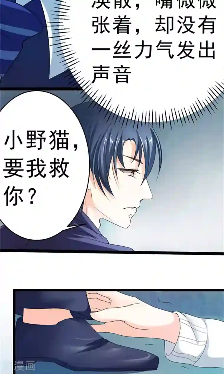 权少的隐婚小甜妻第2话