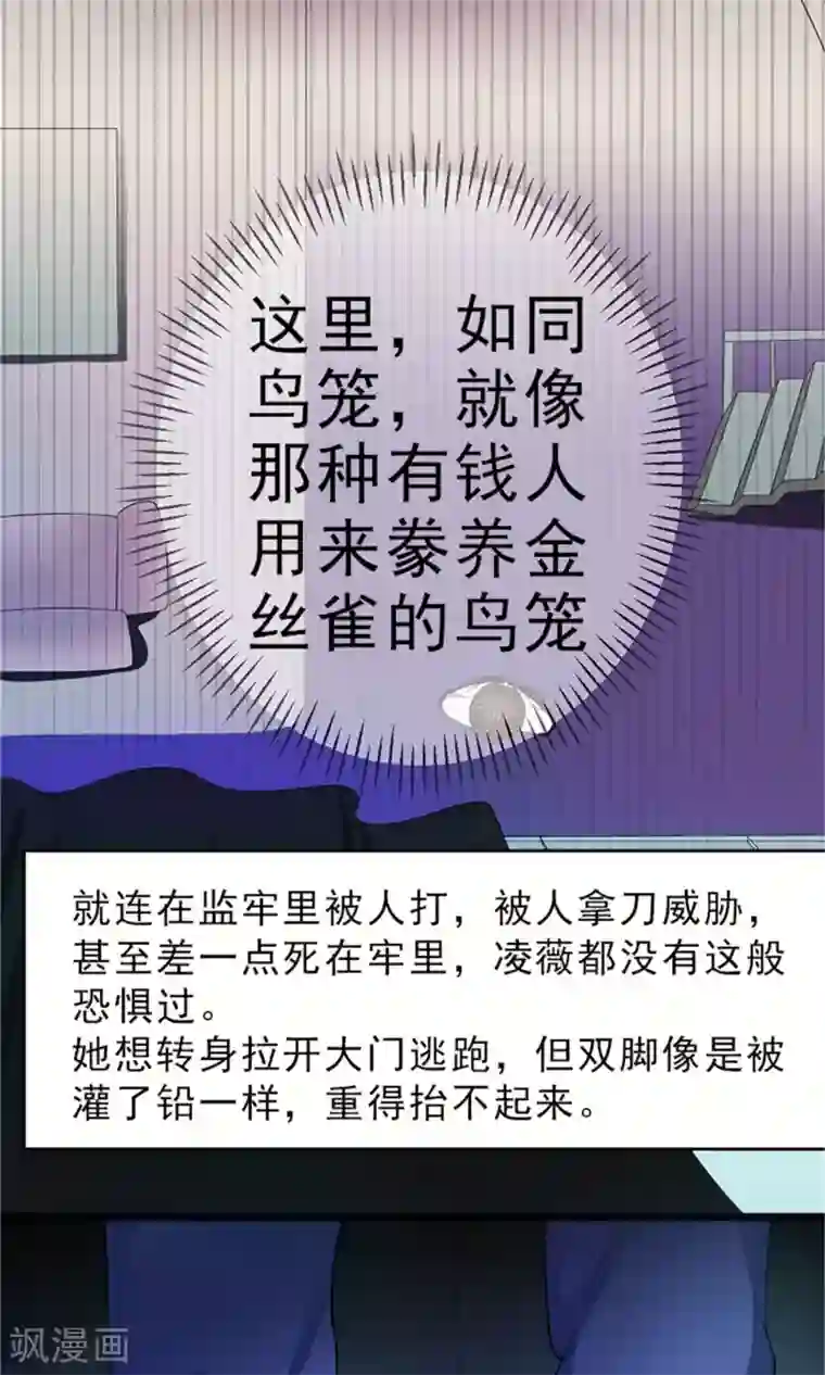 权少的隐婚小甜妻第4话