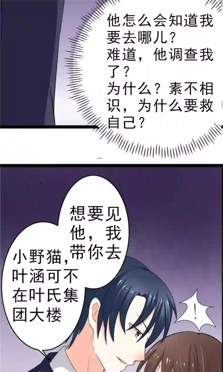 权少的隐婚小甜妻第5话