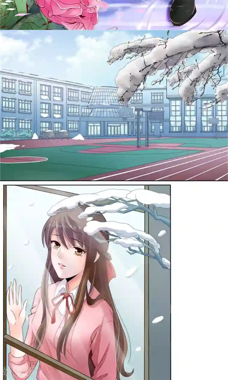 权少的隐婚小甜妻第24话