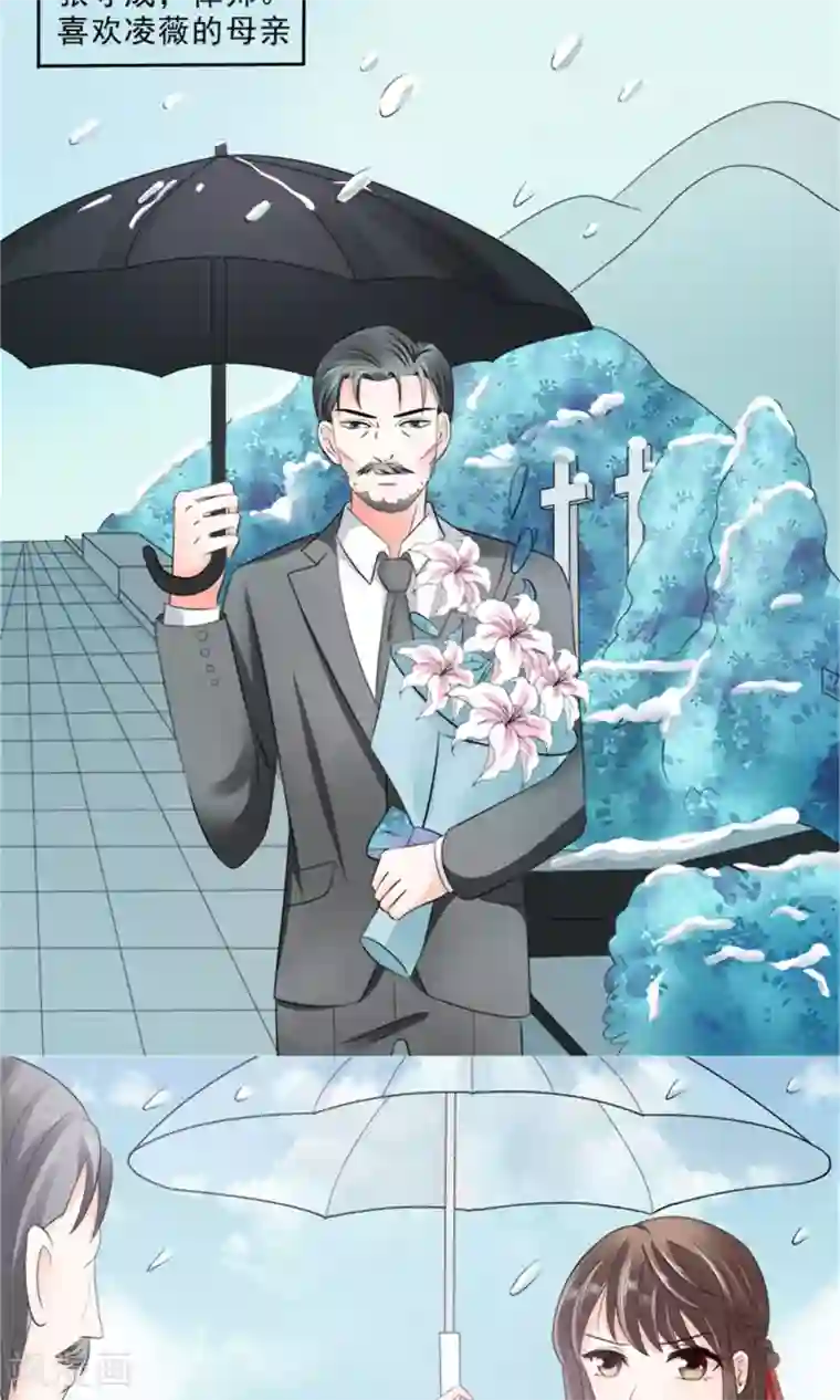 权少的隐婚小甜妻第24话