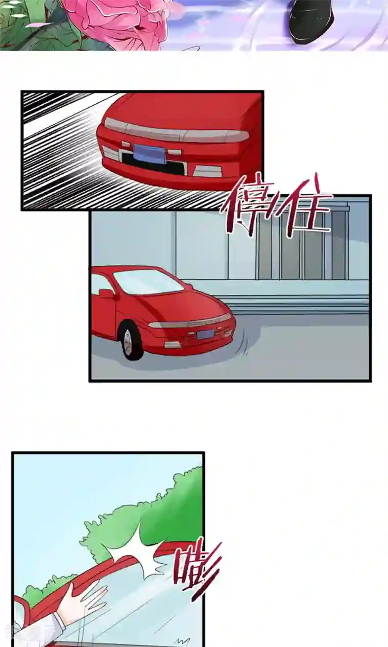 权少的隐婚小甜妻第67话