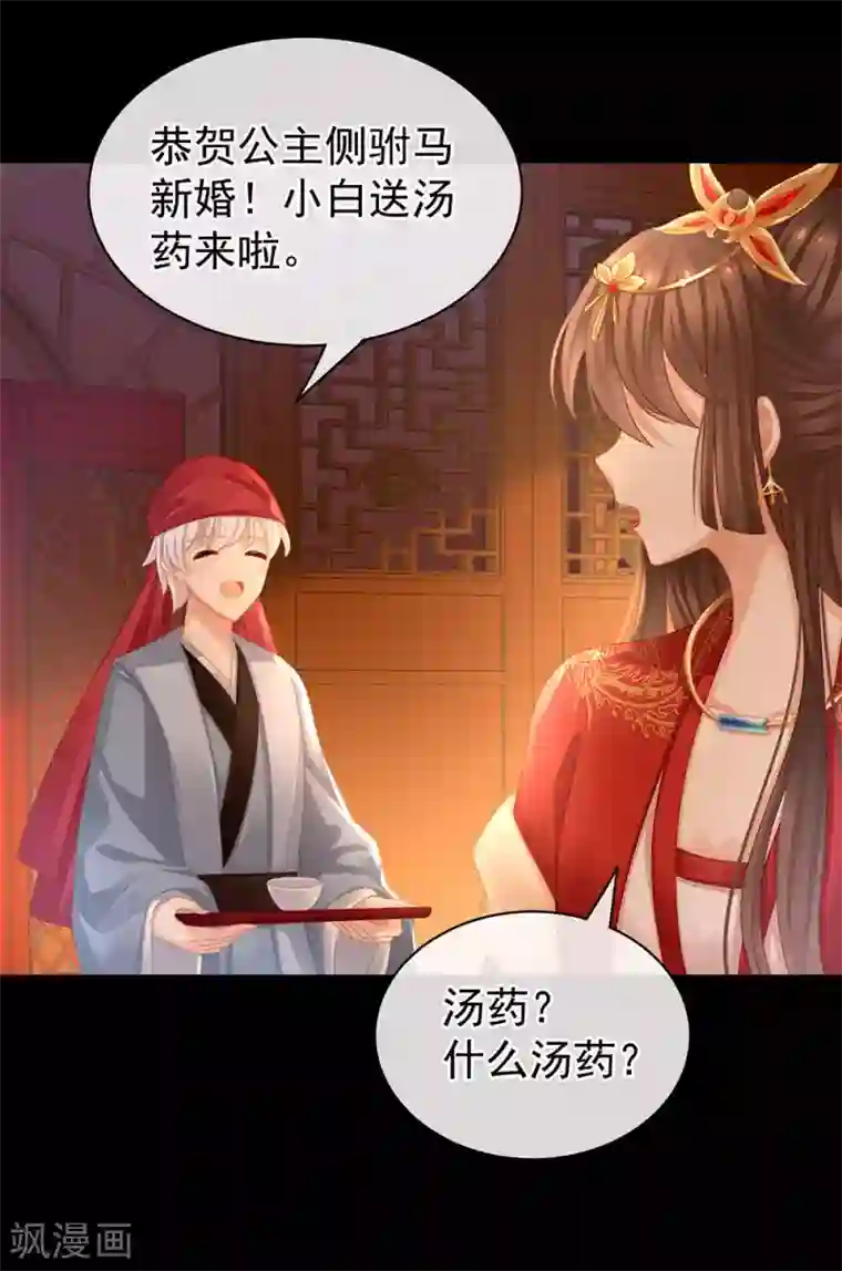 女帝的后宫第53话 避子汤