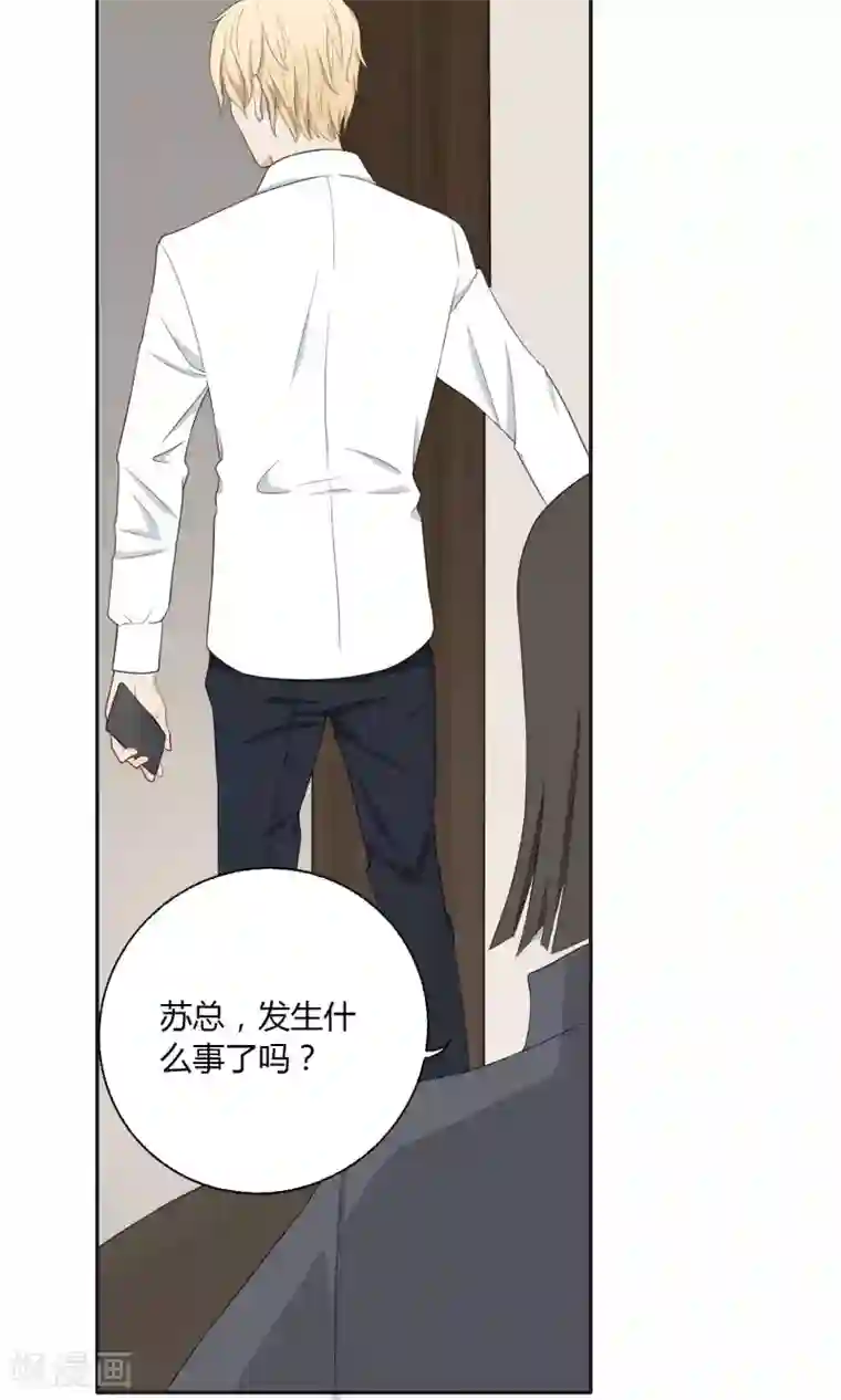 隐婚蜜爱：偏执老公宠上瘾第47话