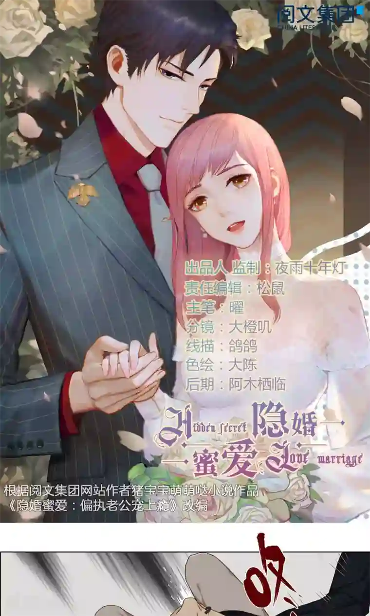 隐婚蜜爱：偏执老公宠上瘾最终话