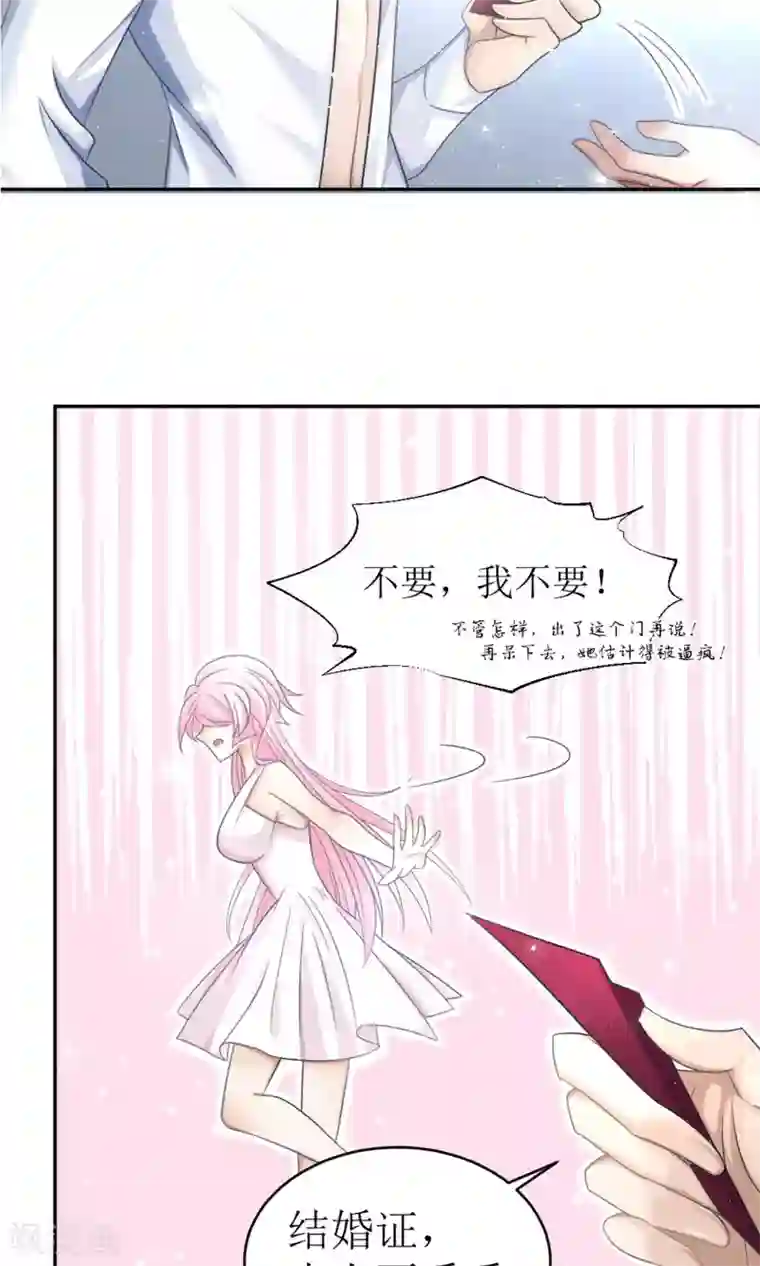 狼性总裁的魅惑新娘第3话 红本本都有了