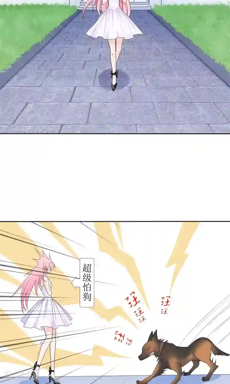 狼性总裁的魅惑新娘第3话 红本本都有了