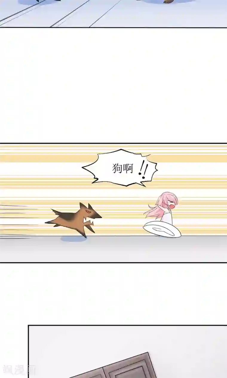 狼性总裁的魅惑新娘第3话 红本本都有了