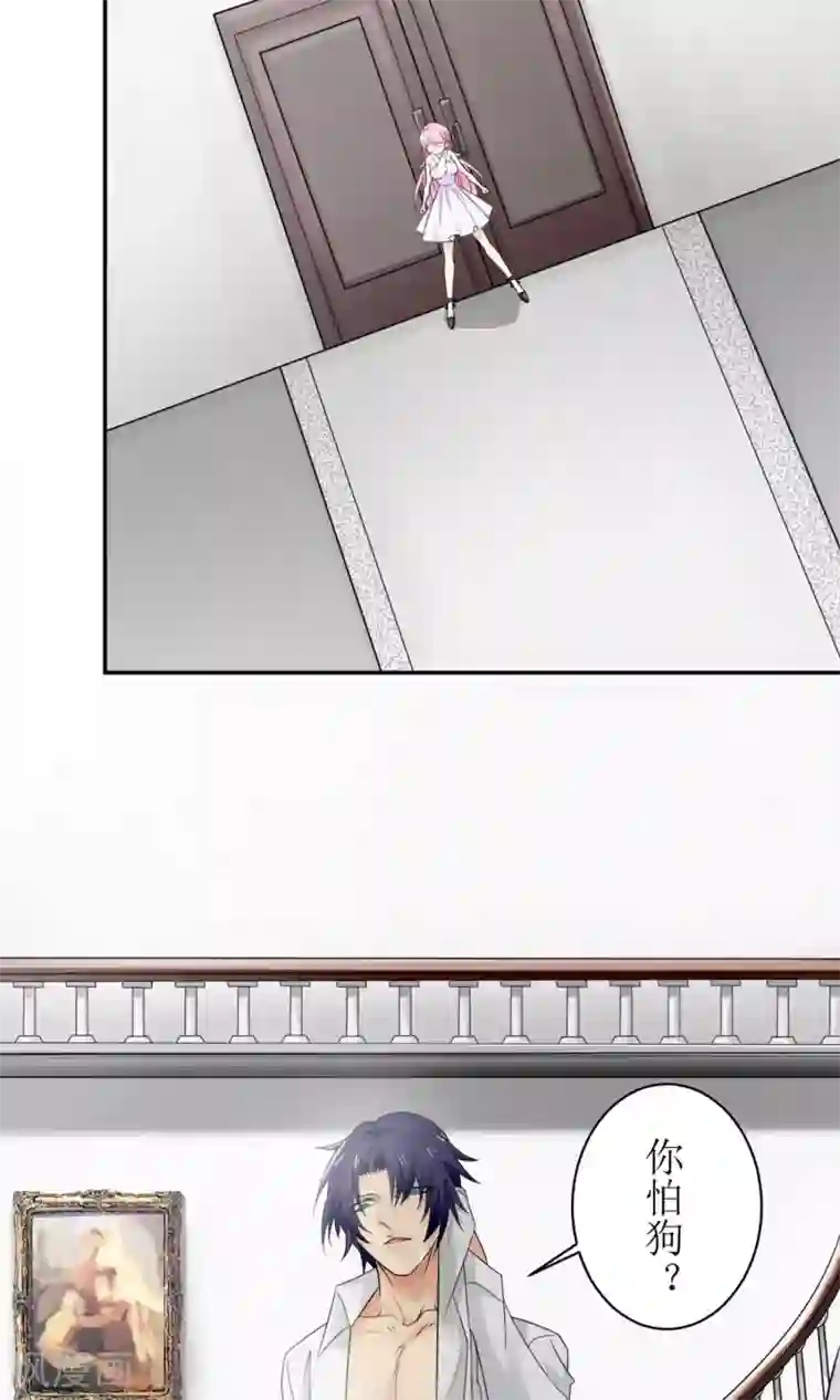 狼性总裁的魅惑新娘第3话 红本本都有了