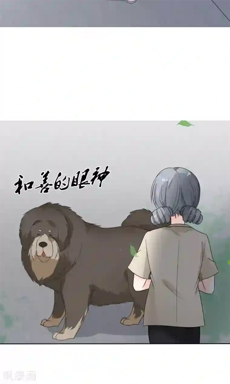 狼性总裁的魅惑新娘第15话 被狗毁掉的美好生活！