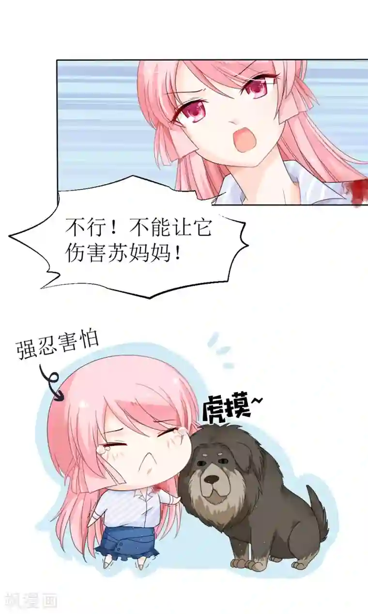 狼性总裁的魅惑新娘第15话 被狗毁掉的美好生活！