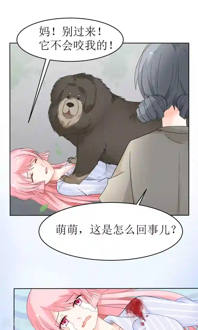 狼性总裁的魅惑新娘第15话 被狗毁掉的美好生活！
