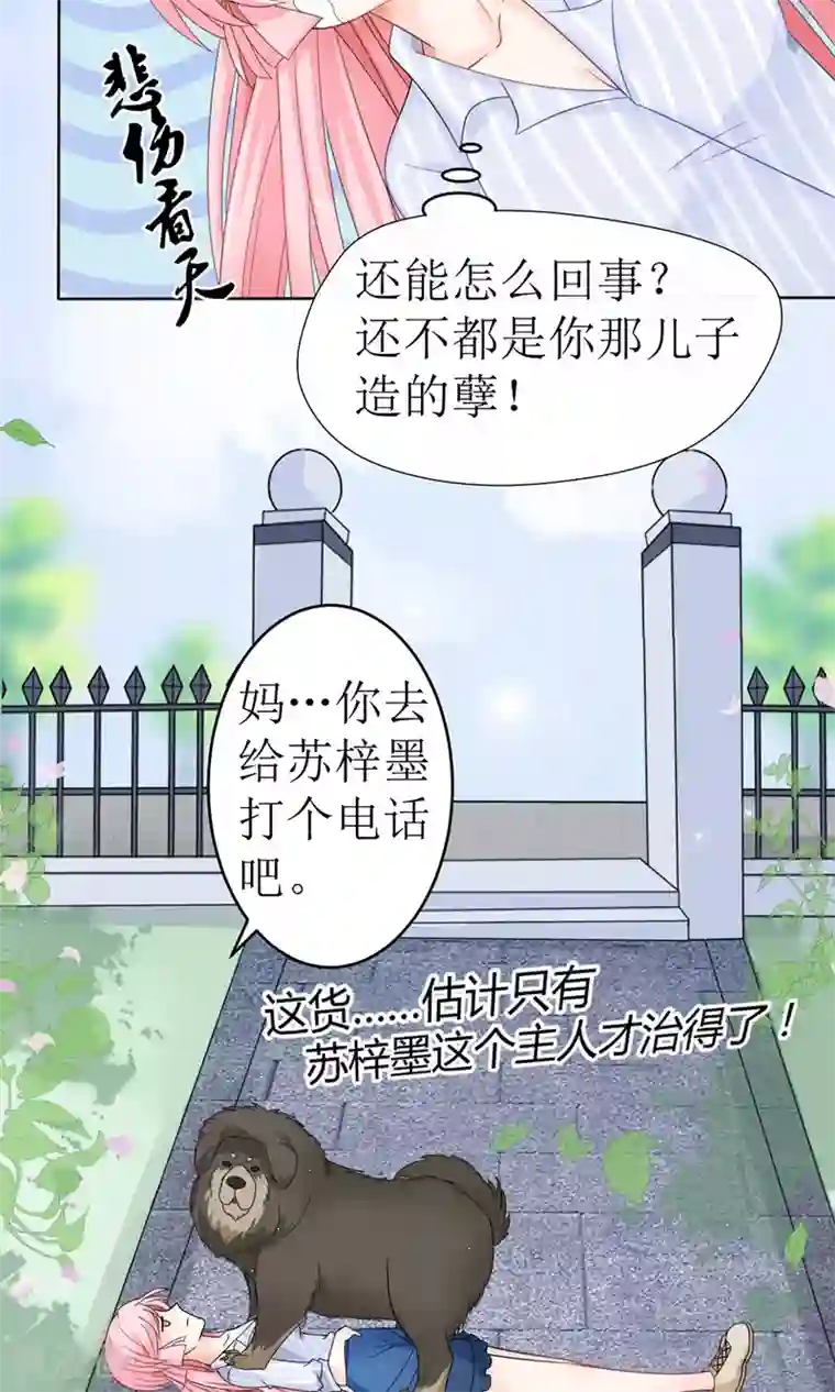 狼性总裁的魅惑新娘第15话 被狗毁掉的美好生活！