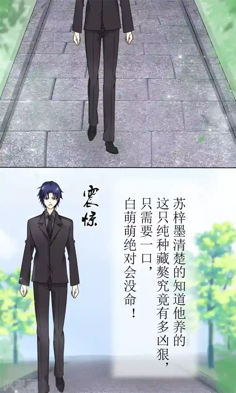 狼性总裁的魅惑新娘第15话 被狗毁掉的美好生活！