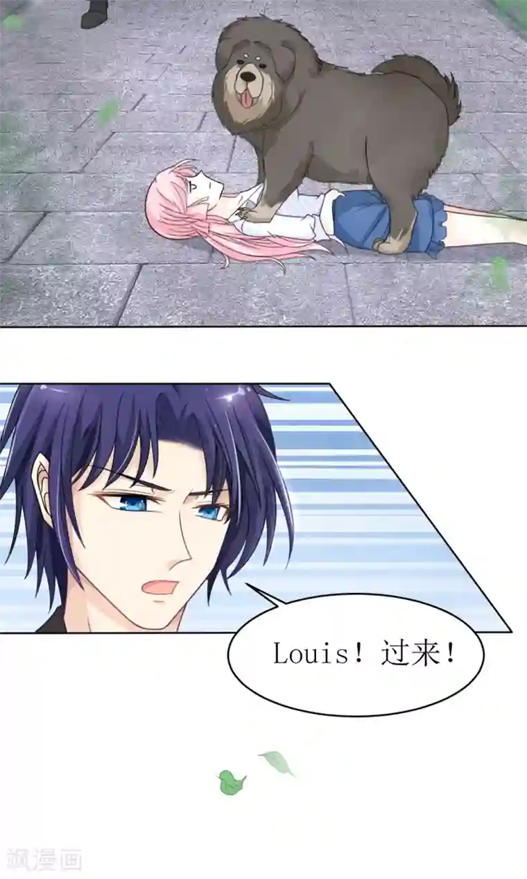 狼性总裁的魅惑新娘第15话 被狗毁掉的美好生活！