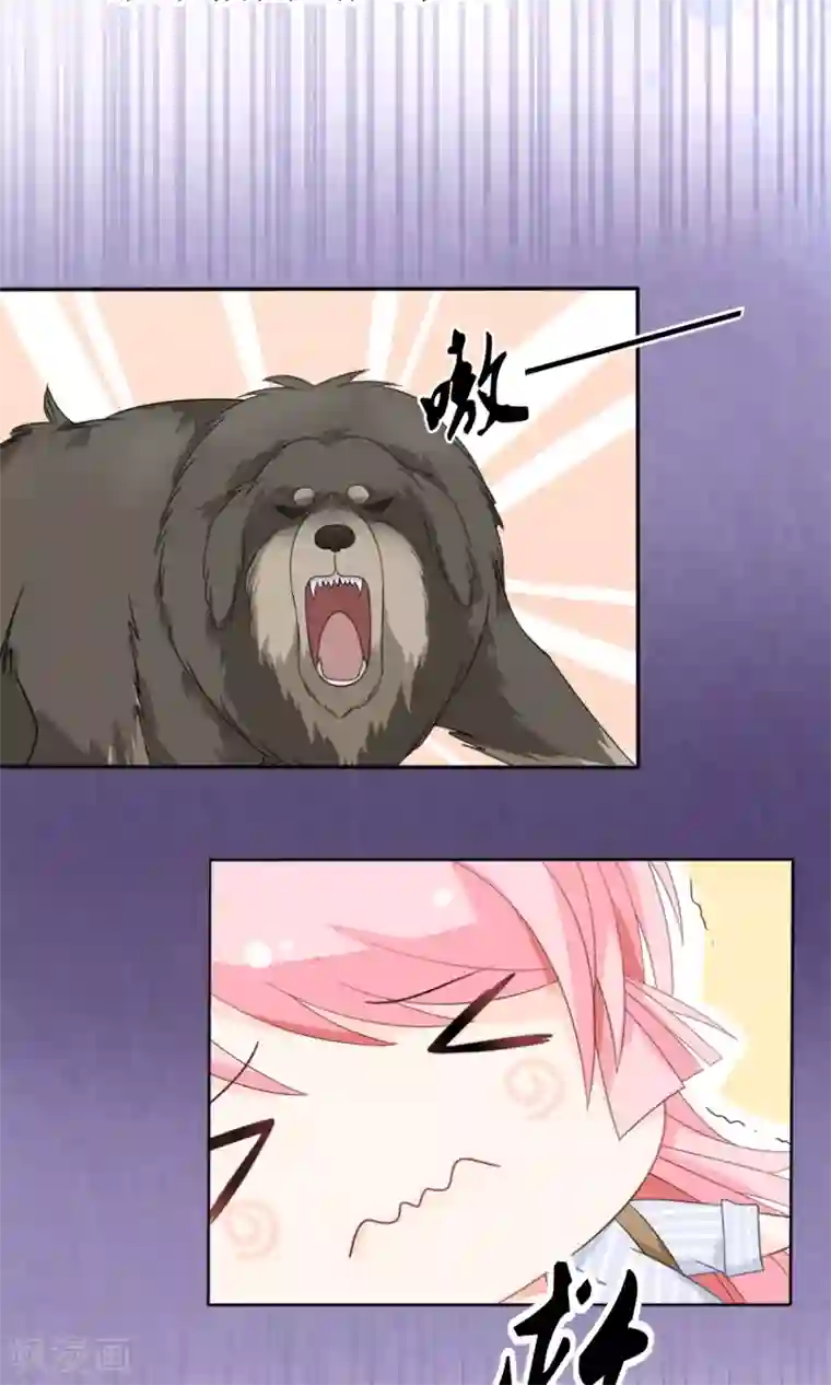狼性总裁的魅惑新娘第15话 被狗毁掉的美好生活！