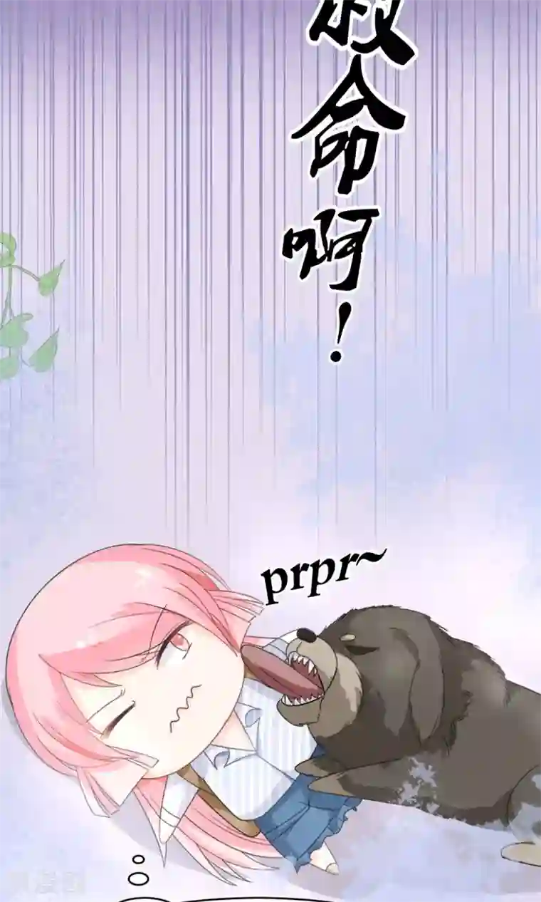 狼性总裁的魅惑新娘第15话 被狗毁掉的美好生活！
