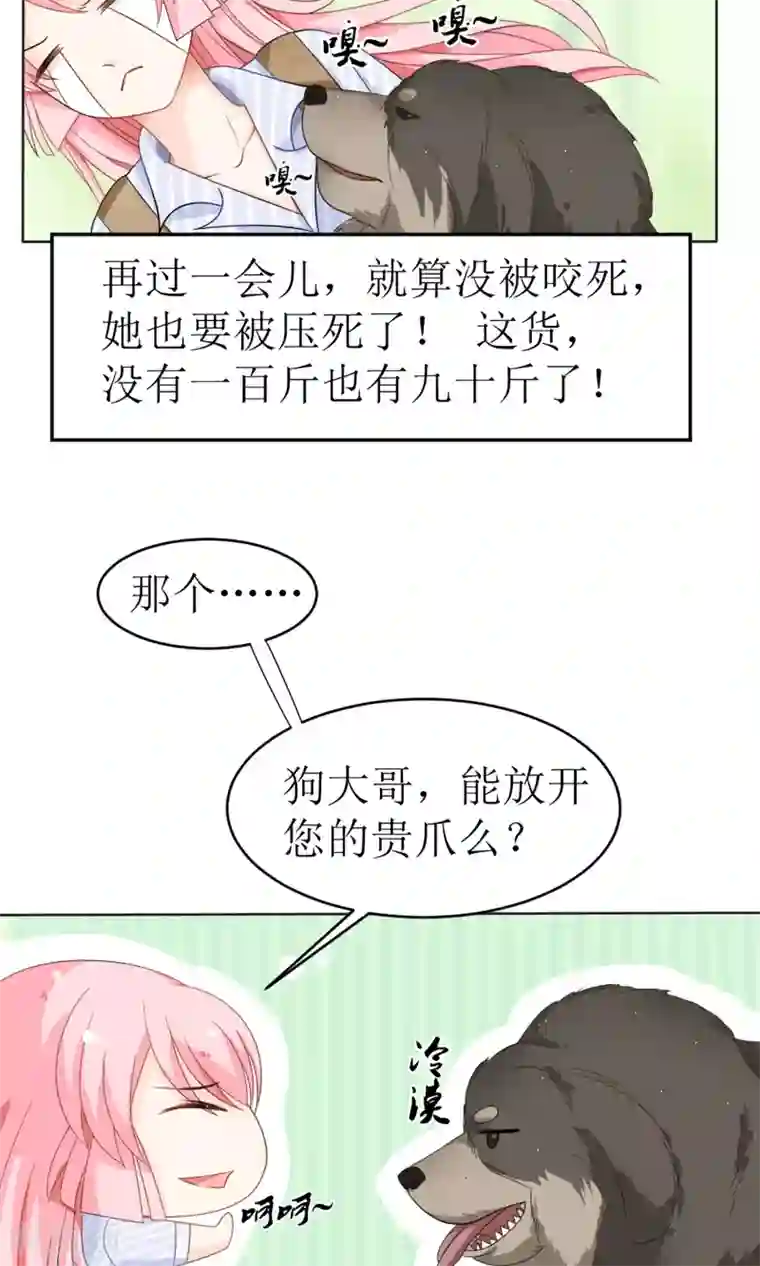 狼性总裁的魅惑新娘第15话 被狗毁掉的美好生活！