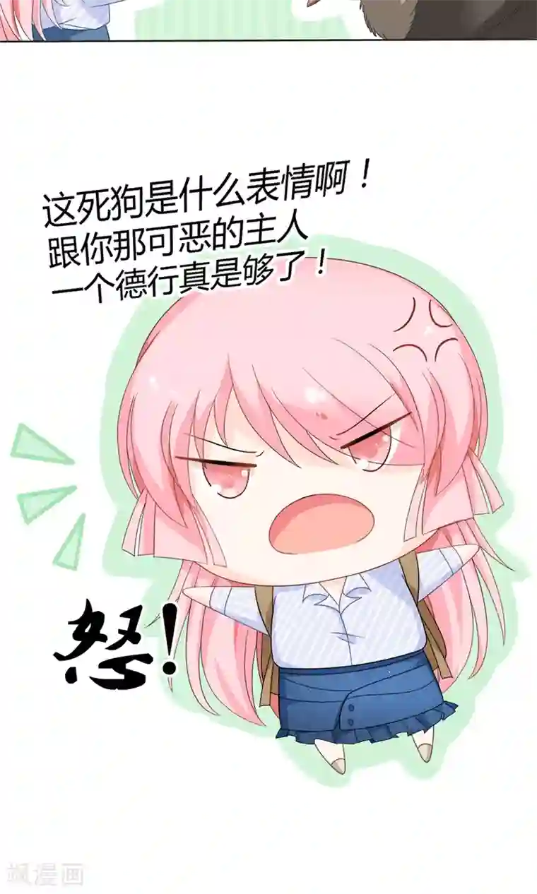 狼性总裁的魅惑新娘第15话 被狗毁掉的美好生活！