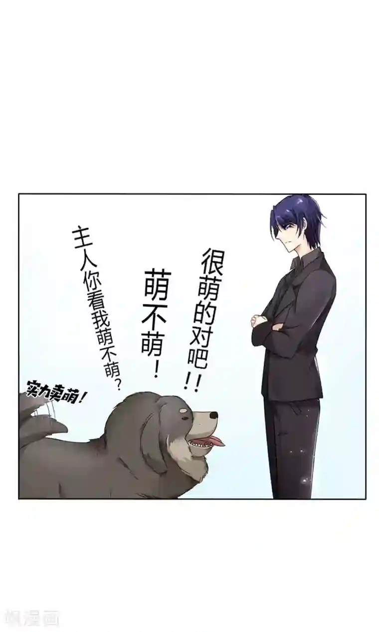 狼性总裁的魅惑新娘第16话 越狱失败，被狗活逮