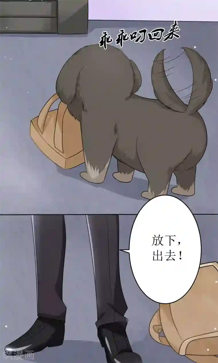 狼性总裁的魅惑新娘第16话 越狱失败，被狗活逮