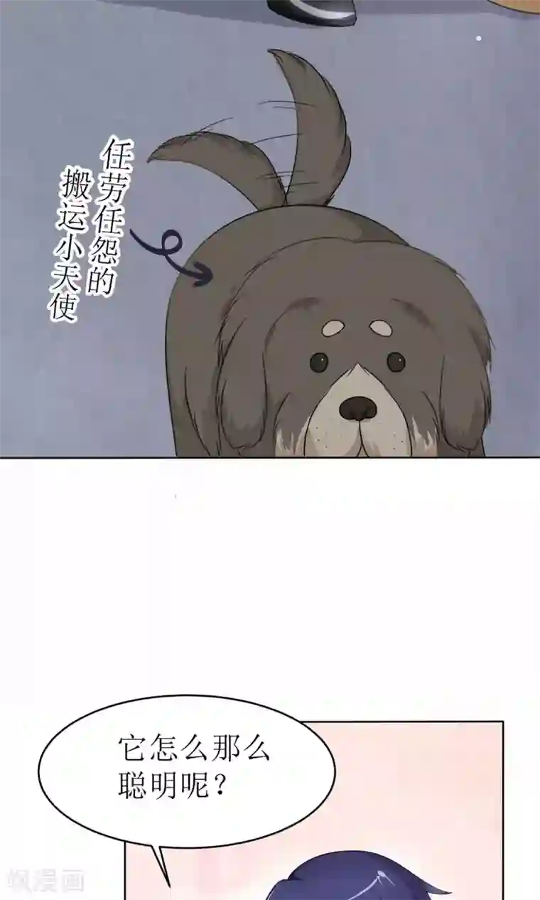 狼性总裁的魅惑新娘第16话 越狱失败，被狗活逮