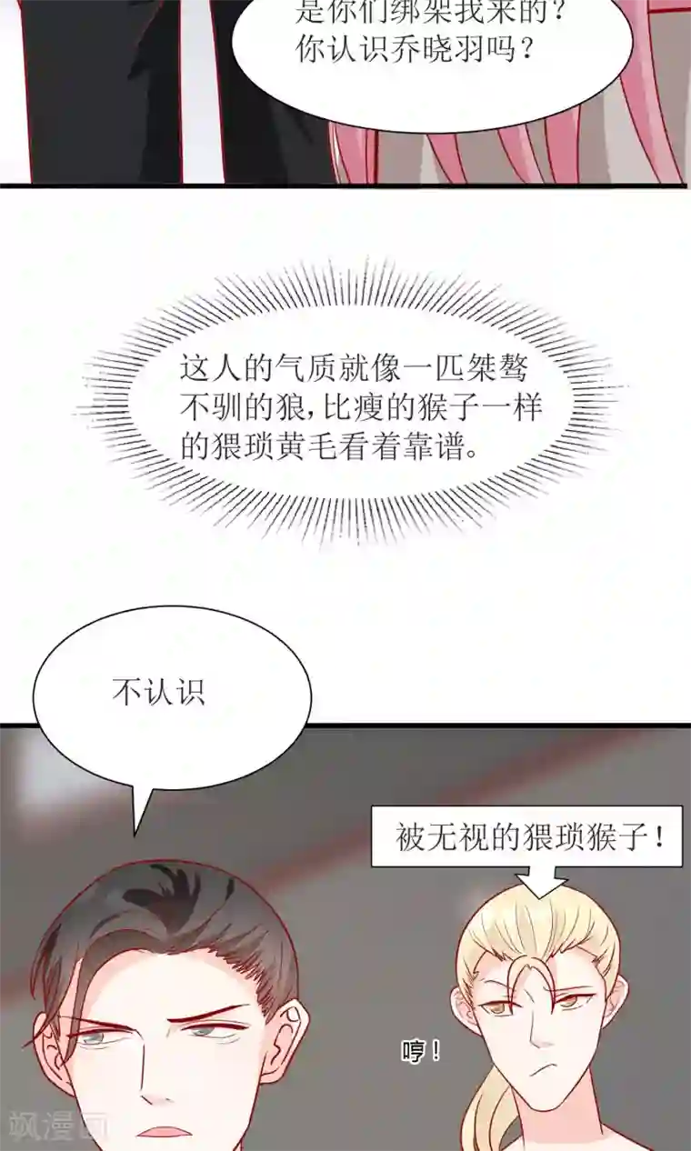 狼性总裁的魅惑新娘第52话 不是乔晓羽做的？
