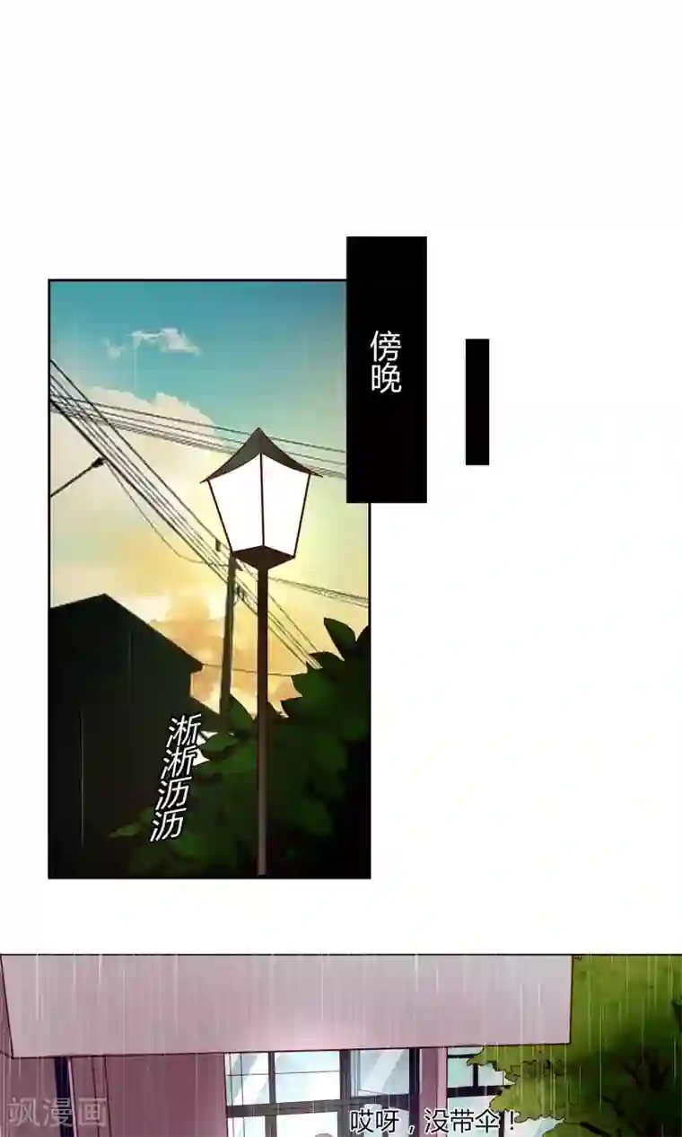 狼性总裁的魅惑新娘第66话 男人都是大猪蹄子